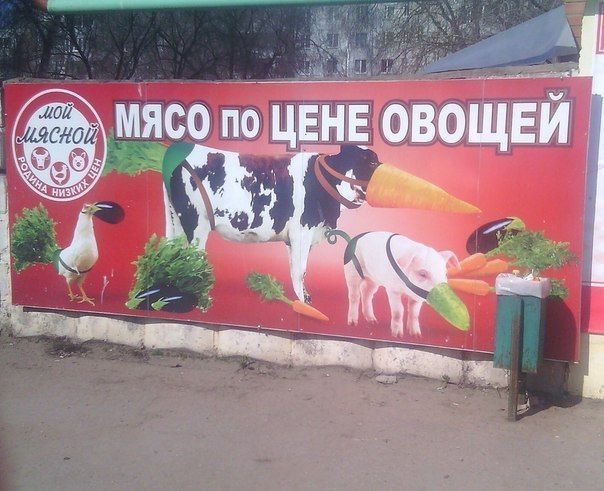Прикольные картинки (101 фото)