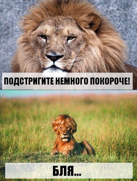 Прикольные картинки (101 фото)