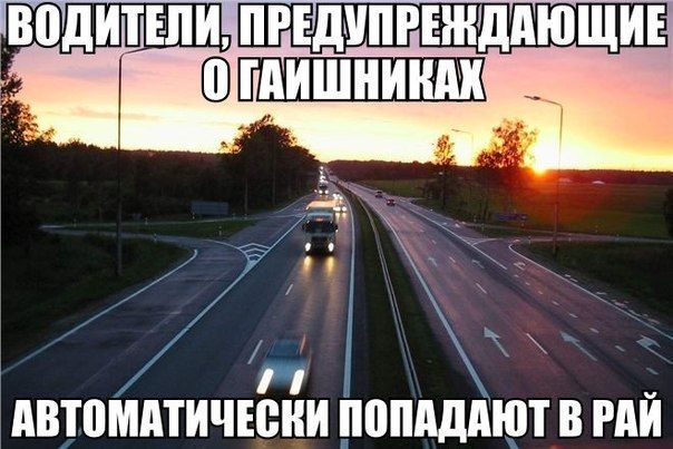 Прикольные картинки (101 фото)