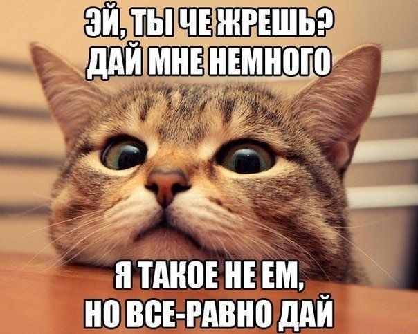Прикольные картинки (101 фото)