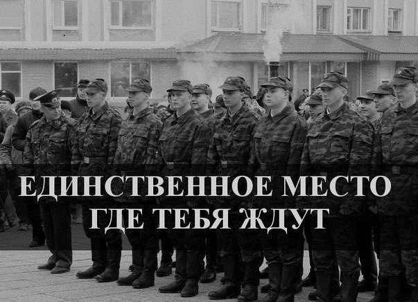 Прикольные картинки (101 фото)