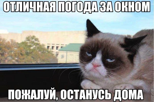 Прикольные картинки (101 фото)
