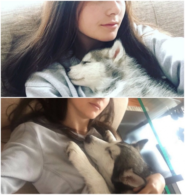 14 собак, которые выросли слишком быстро