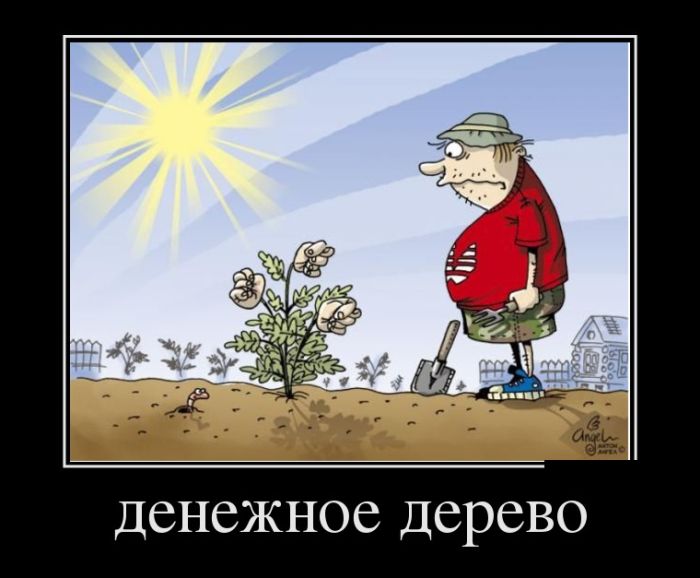 Демотиваторы