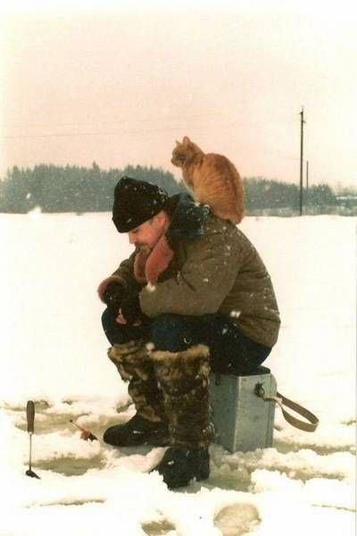 Прикольные картинки
