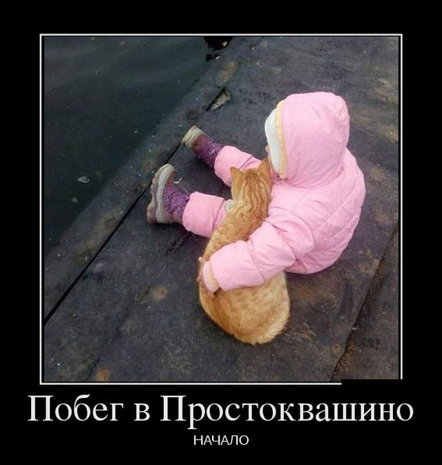 Демотиваторы