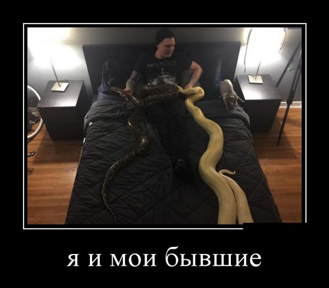 Демотиваторы