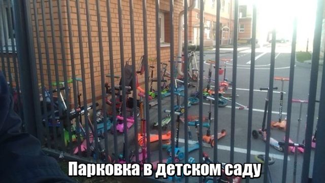 Прикольные картинки
