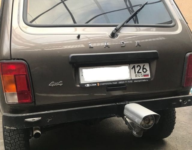 Прикольные картинки