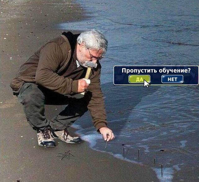 Прикольные картинки