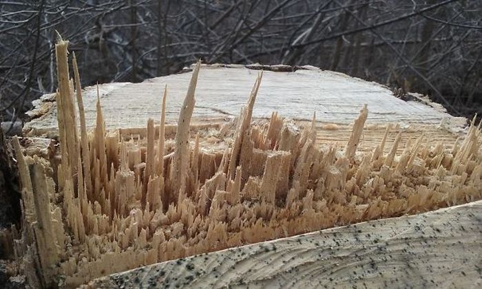 Нерукотворное искусство