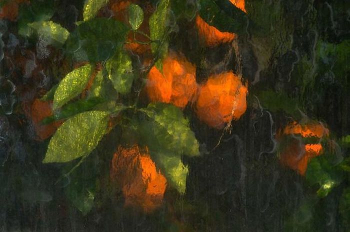 Нерукотворное искусство