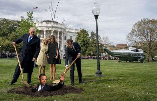 Сажающие дерево Трамп и Макрон стали героями фотожаб