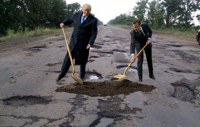 Сажающие дерево Трамп и Макрон стали героями фотожаб