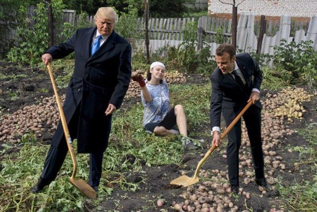 Сажающие дерево Трамп и Макрон стали героями фотожаб