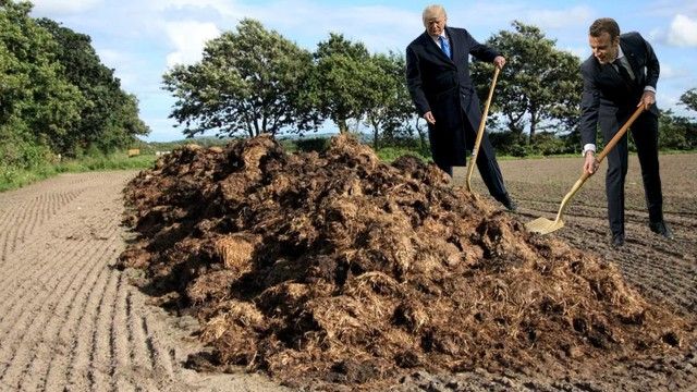 Сажающие дерево Трамп и Макрон стали героями фотожаб