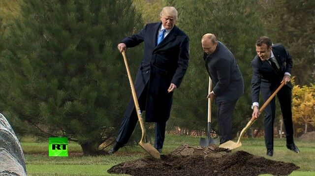 Сажающие дерево Трамп и Макрон стали героями фотожаб