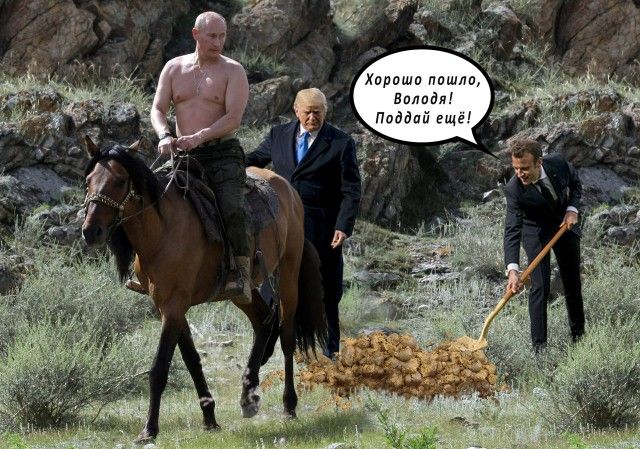 Сажающие дерево Трамп и Макрон стали героями фотожаб
