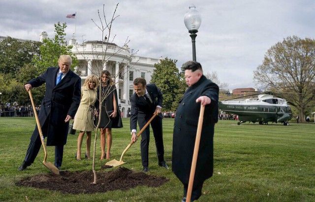 Сажающие дерево Трамп и Макрон стали героями фотожаб