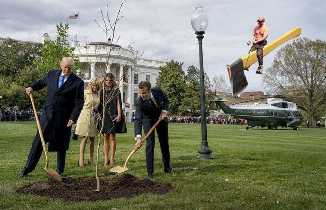 Сажающие дерево Трамп и Макрон стали героями фотожаб