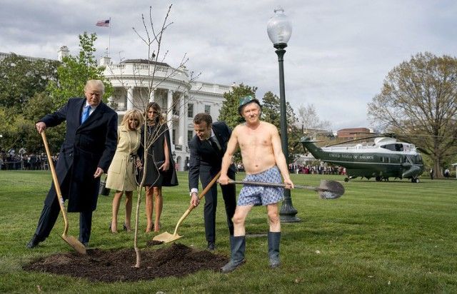 Сажающие дерево Трамп и Макрон стали героями фотожаб