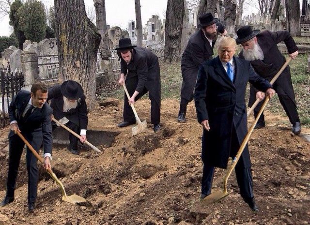 Сажающие дерево Трамп и Макрон стали героями фотожаб