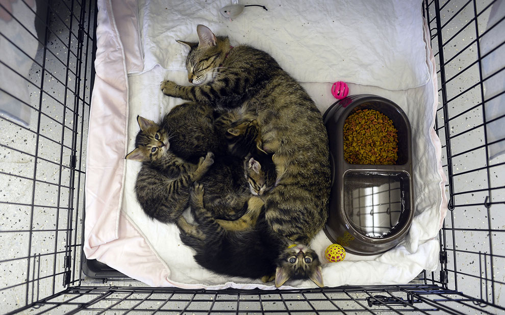 Торнадо в Оклахоме: на следующий день Торнадо в Оклахоме: на следующий день