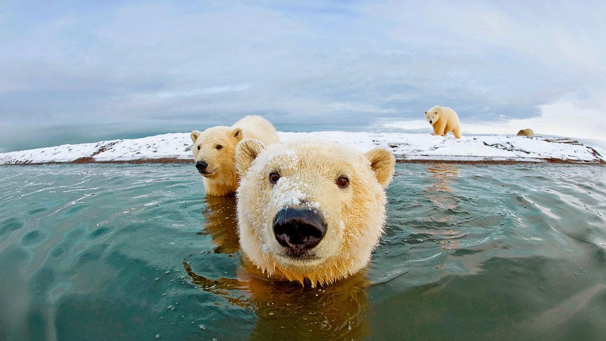 Без фотошопа