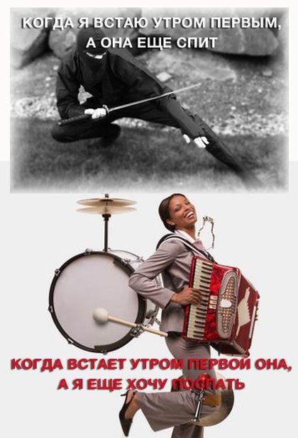 Порция картинок