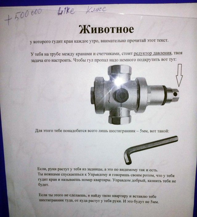 Порция картинок