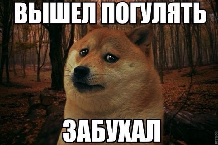 Порция картинок