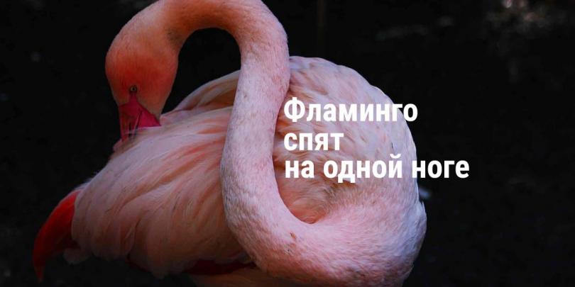 Невероятные научные факты