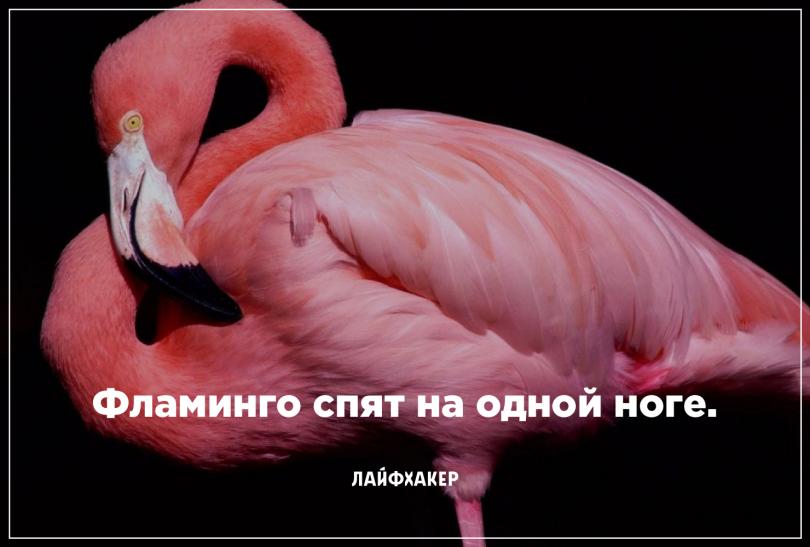Невероятные научные факты