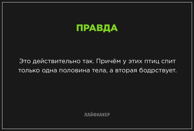 Невероятные научные факты