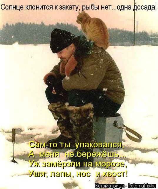 Лучшие котоматрицы недели
