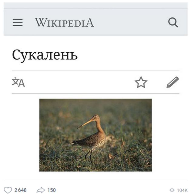 Прикольные картинки