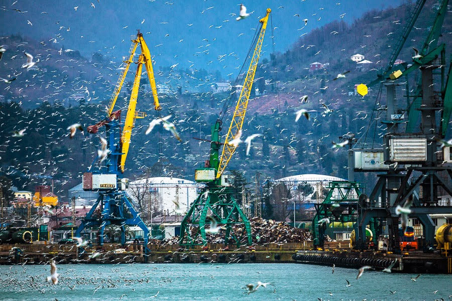 Море чаек над Батуми