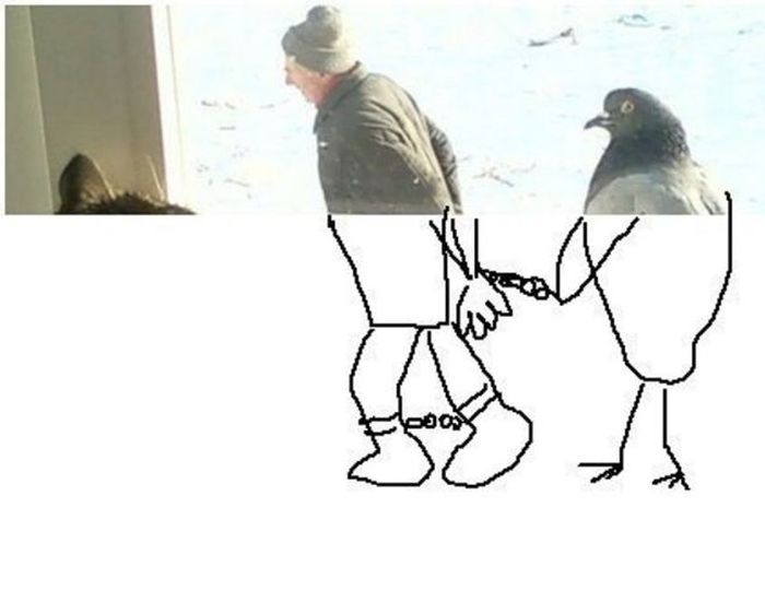 Мужик и голубь