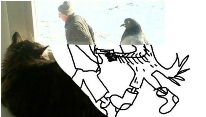 Мужик и голубь