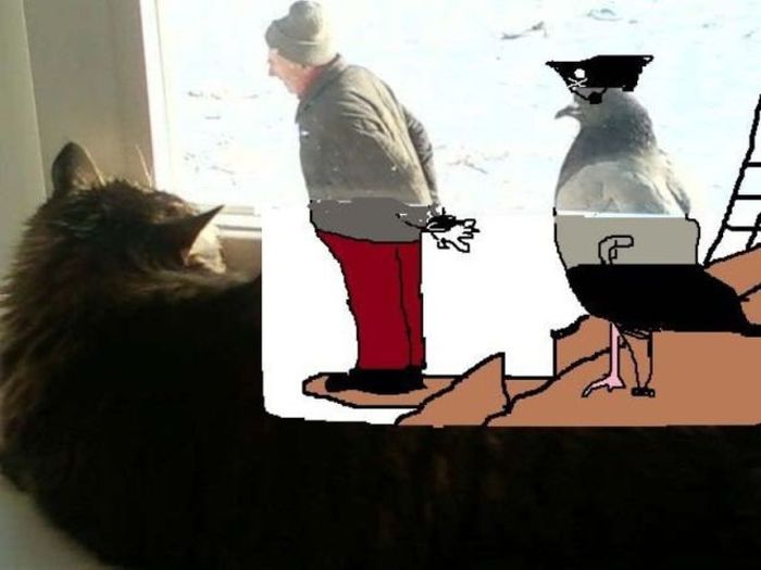 Мужик и голубь