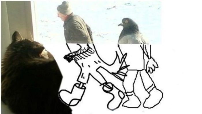 Мужик и голубь