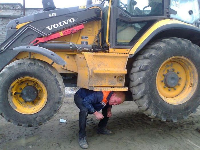 Прикольные картинки