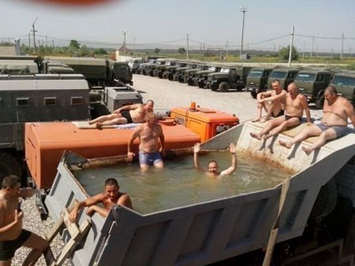 Прикольные картинки