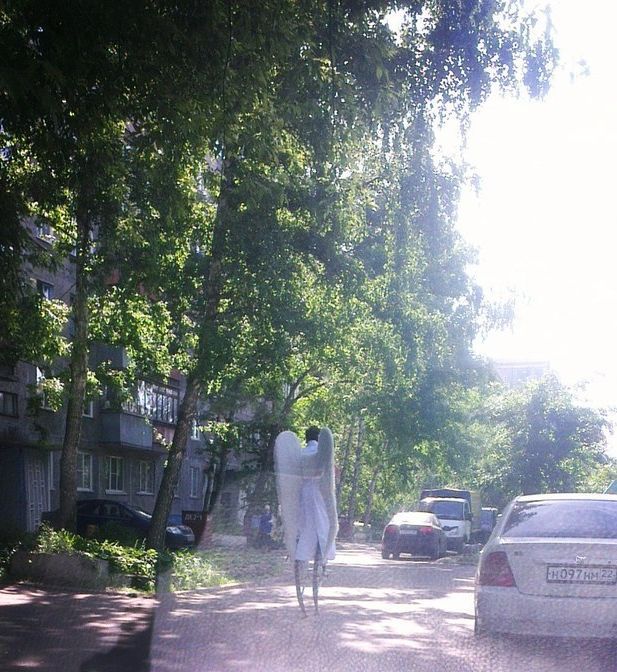 Прикольные картинки
