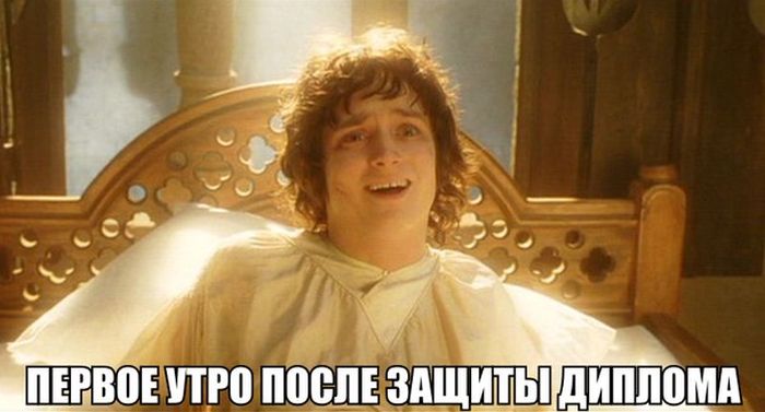 Порция картинок