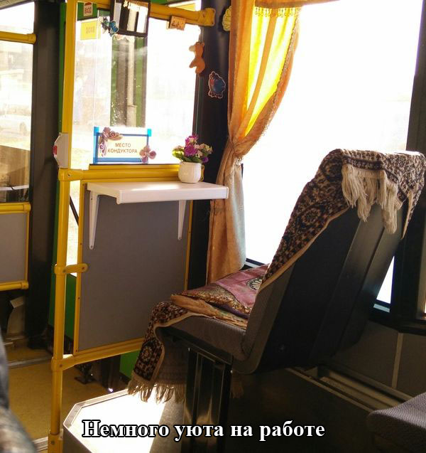 Порция картинок