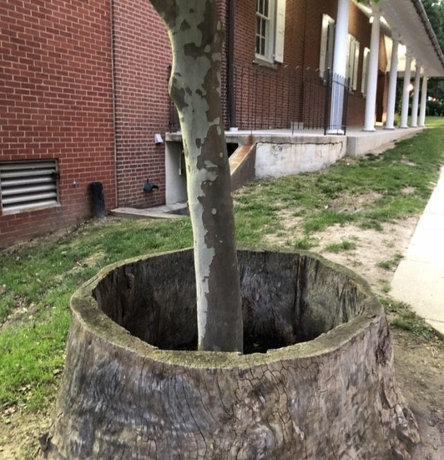 Удивительные вещи