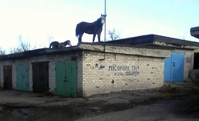 Типичные российские приколы