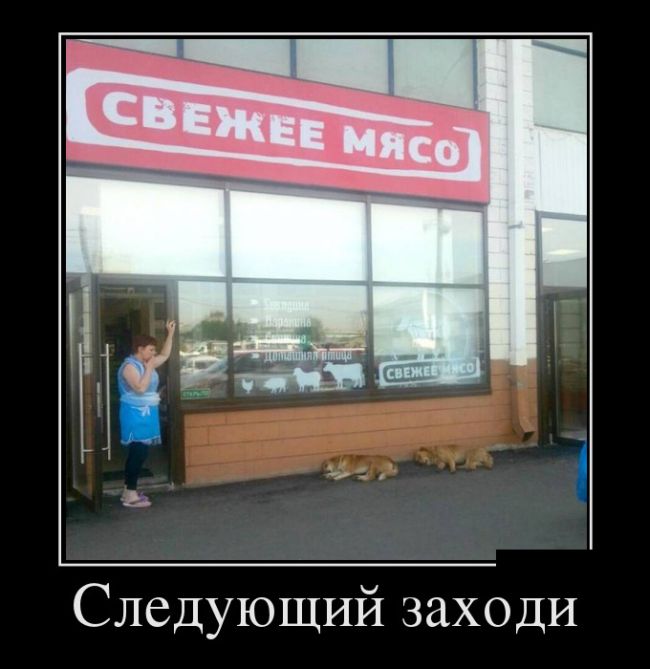 Демотиваторы