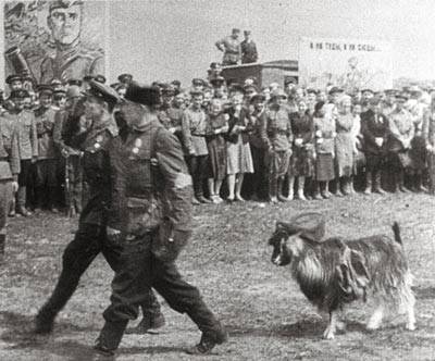 Как проходил самый необычный в истории парад 1944 года Как проходил самый необычный в истории парад 1944 года